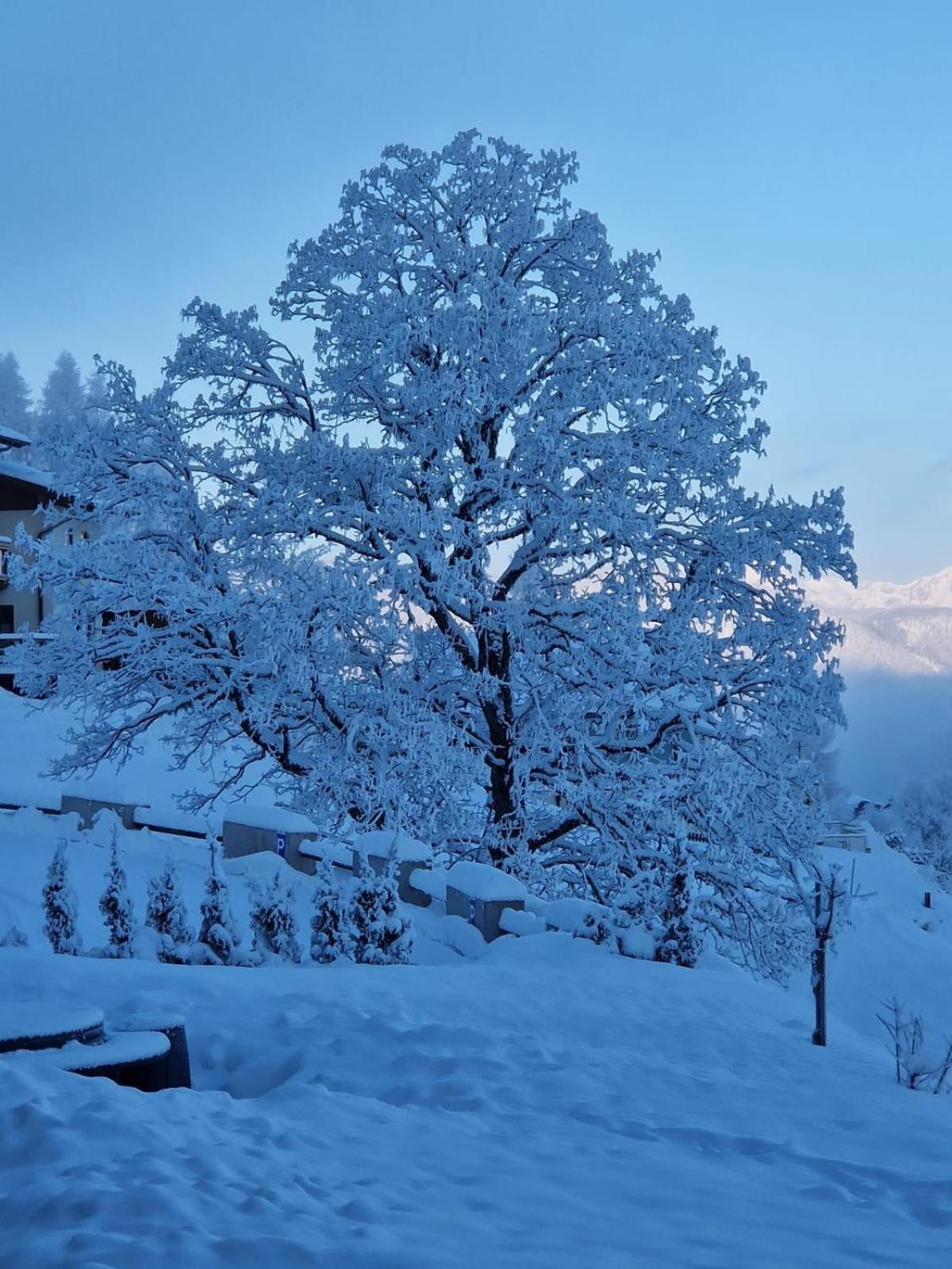 Haus Reinbacher Schladming Eksteriør billede